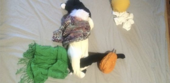 Behold these 10 spectacular baby photoshoot fails witch 2